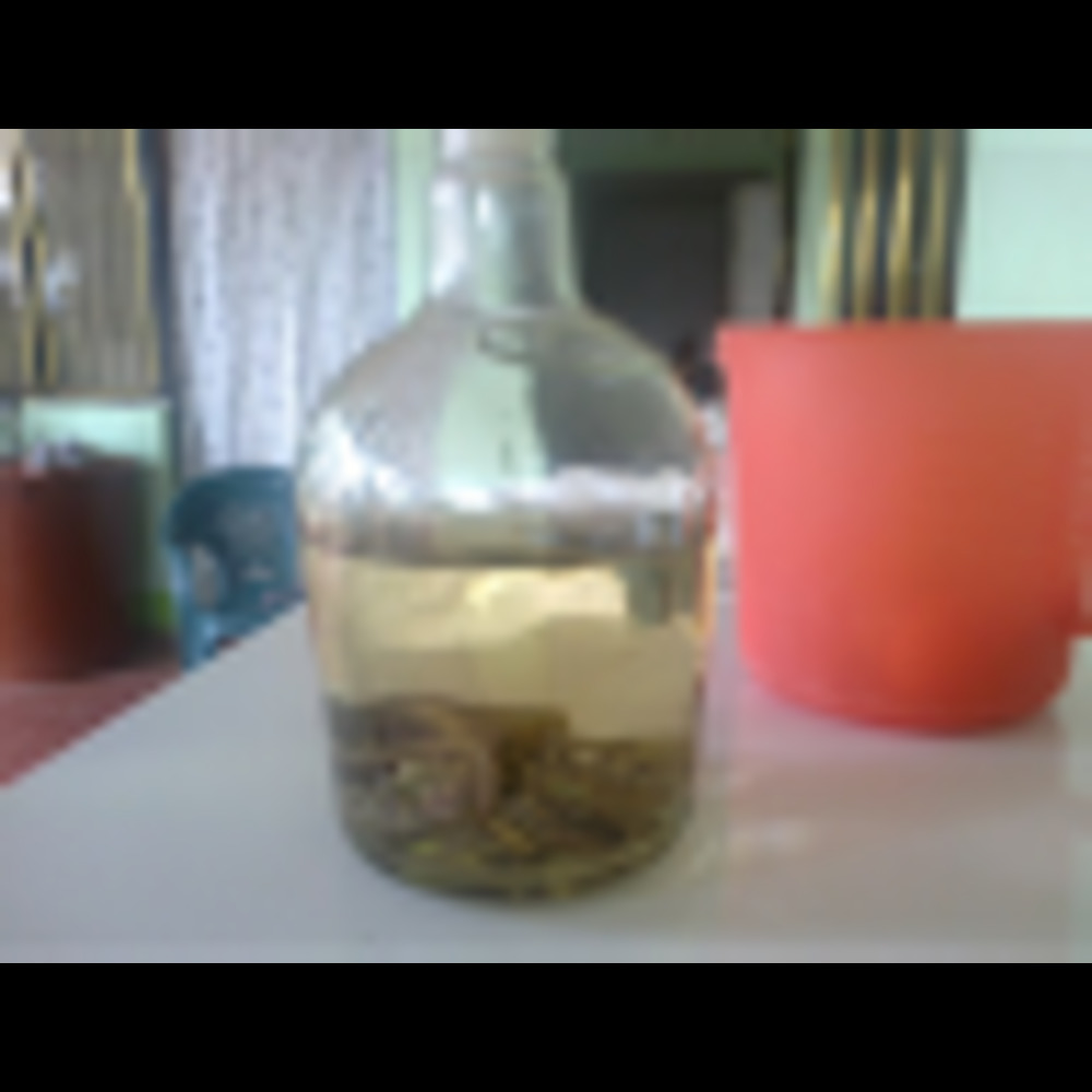 Meet your Posher, César